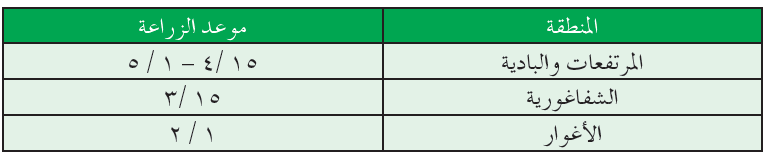 موعد الزراعة في المرتفعات للباميا موعد الزراعة في المرتفعات للباميا